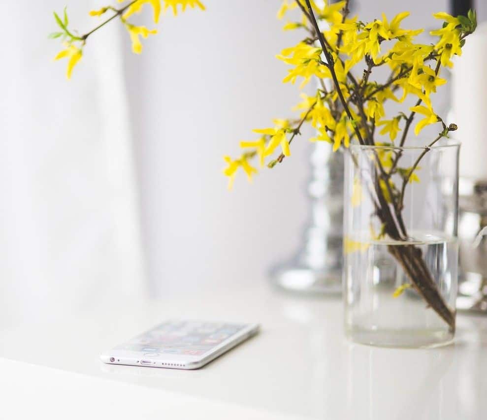 Pflanzen oder Blumen am Schreibtisch