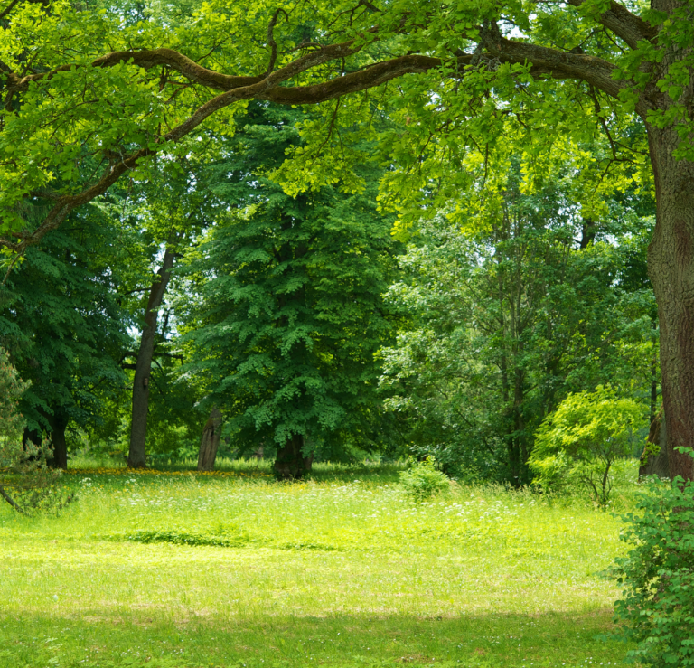 Outdoorpause für die Augen