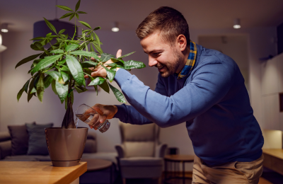Pflanzen pflege in der Wartepause