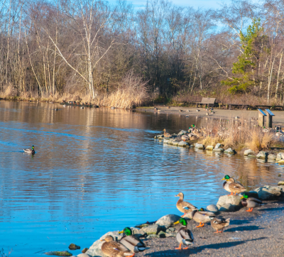 Verdauungsspaziergang am Wasser